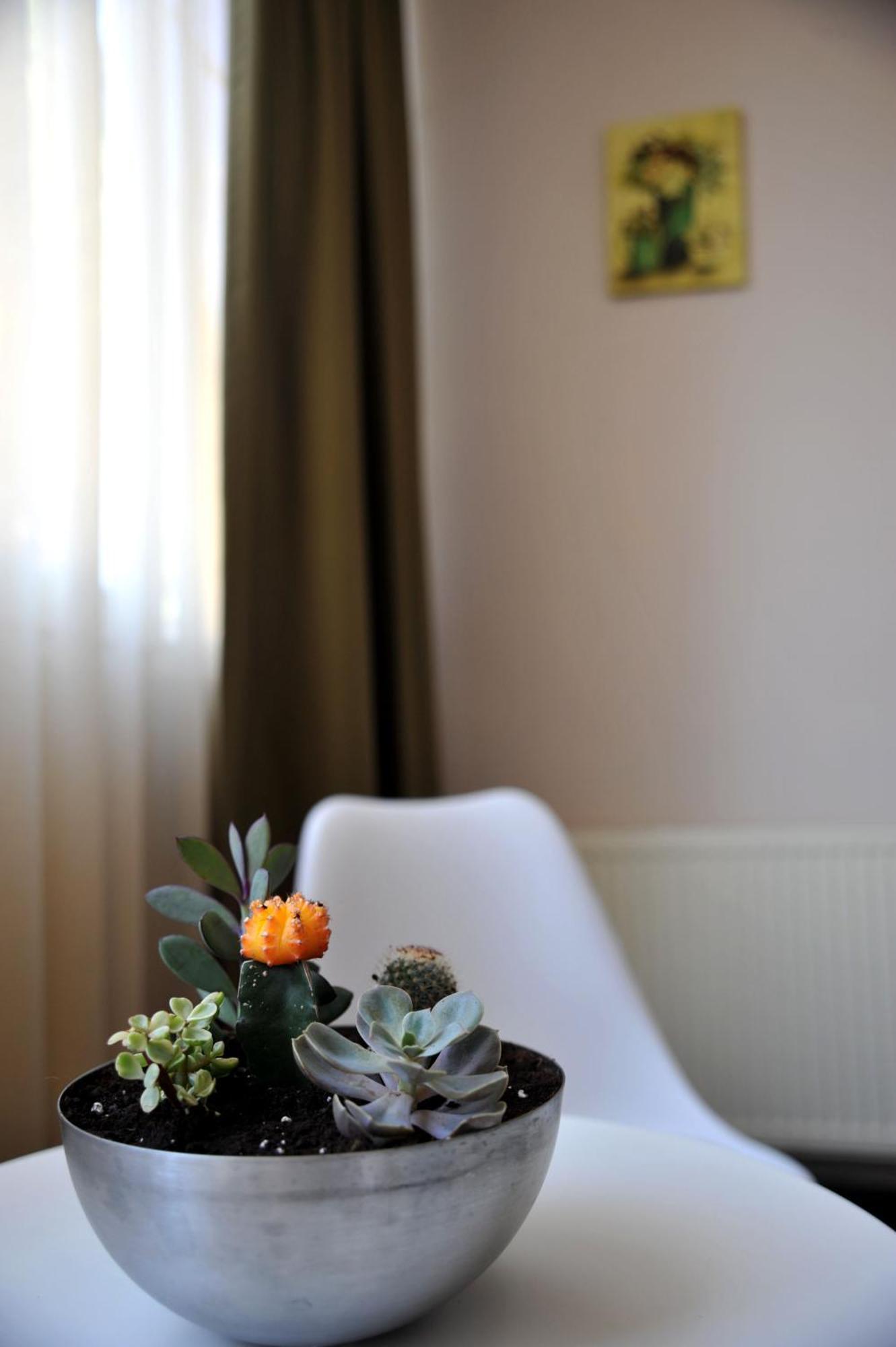 Like Home Braşov Dış mekan fotoğraf
